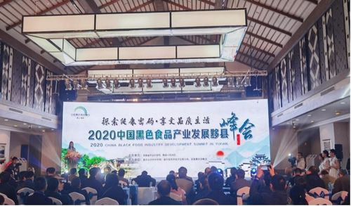 2020中國黑色食品產業發展黟縣峰會成功舉辦 推動產業創新與數字化轉型